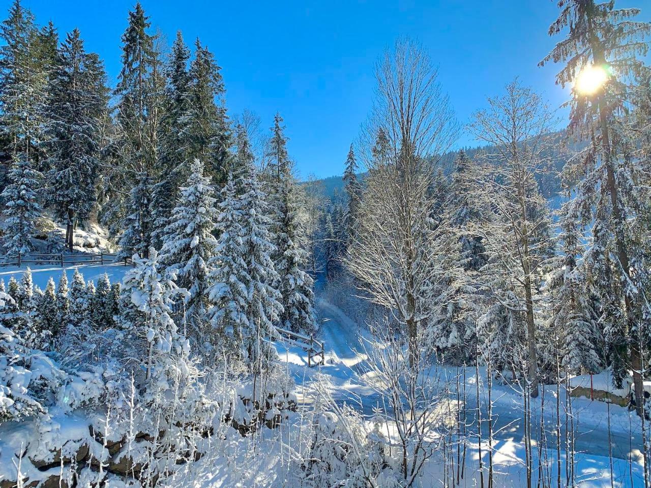 Haus Widmann Apartman Scheffau am Wilden Kaiser Kültér fotó